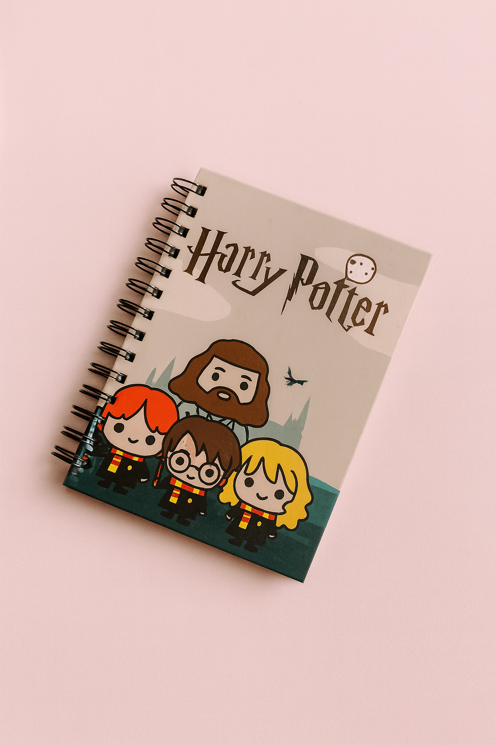 Jumbo Spiral diary / notebooks
