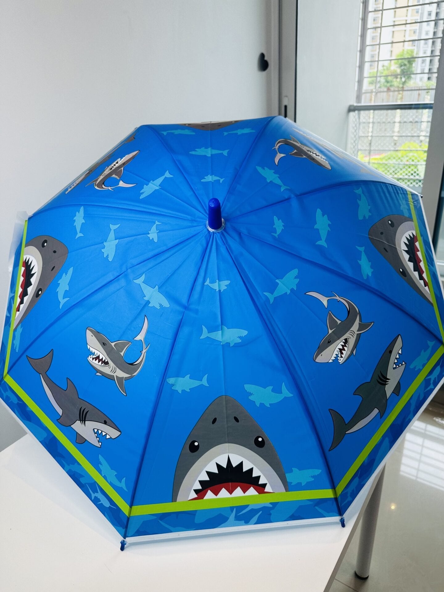 Kids Cartoon Umbrella