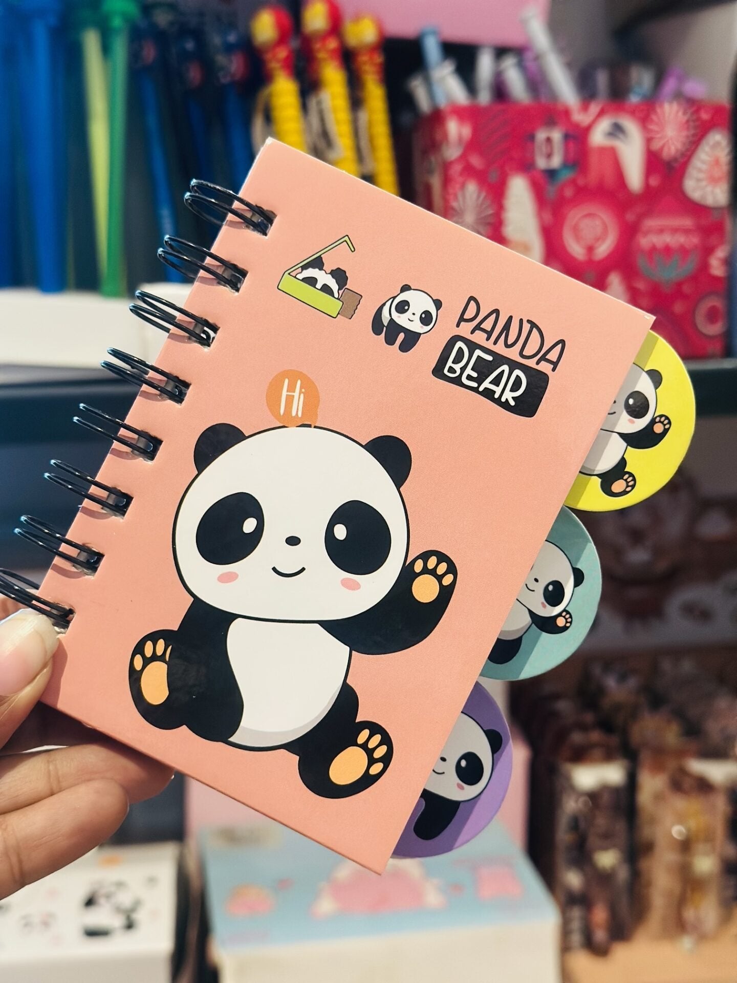 Mini Panda Spiral Diary
