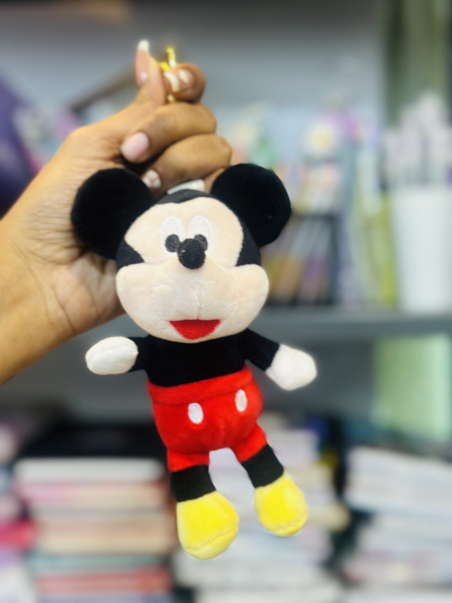 Soft Toy Keychains