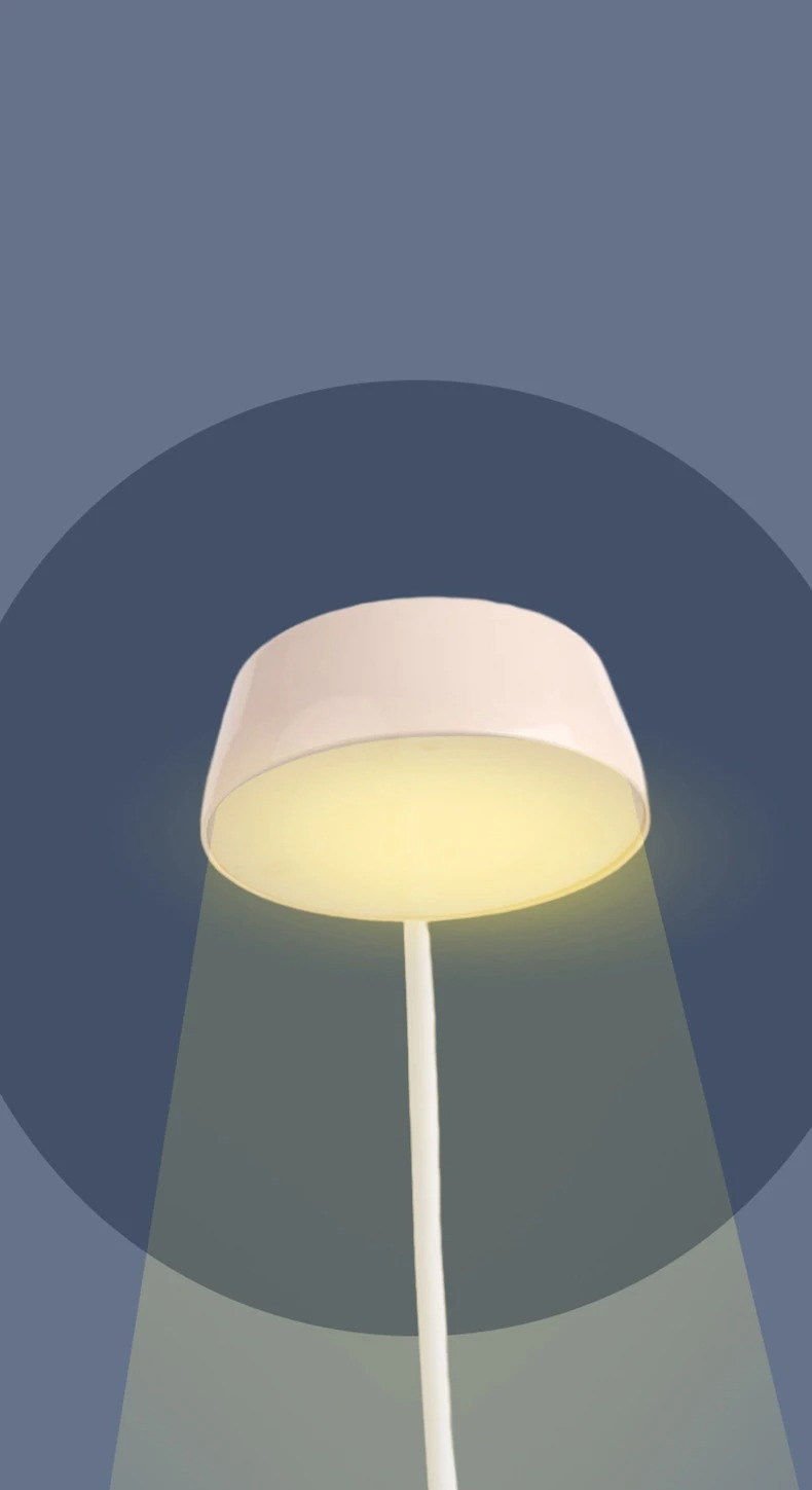 Bear Lamp