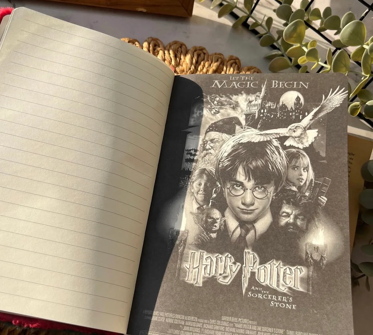 Harry Potter Fur Soft Diary