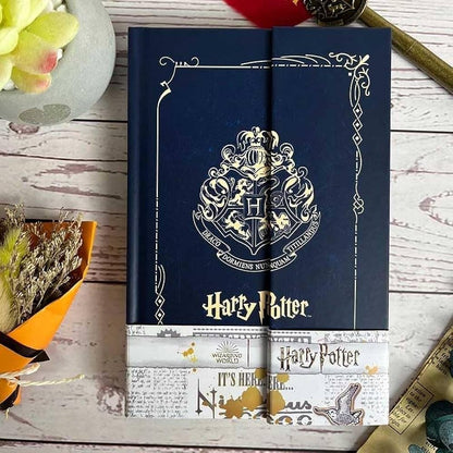 Harry Potter vinatge Dairy