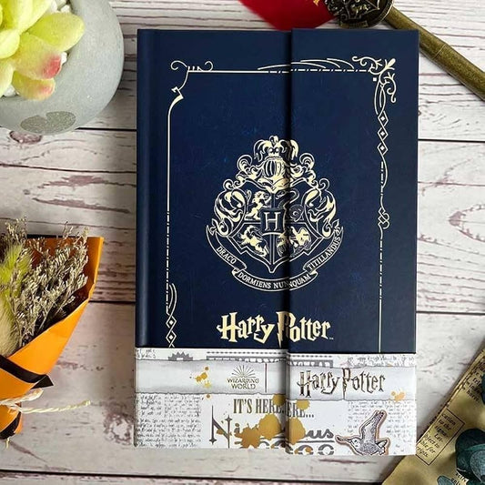 Harry Potter vinatge Dairy