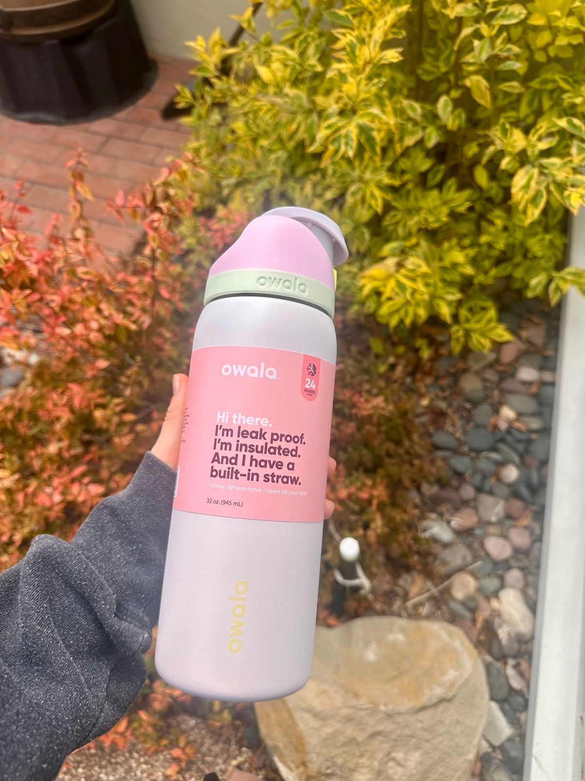 Owala x colour pop edition 24oz