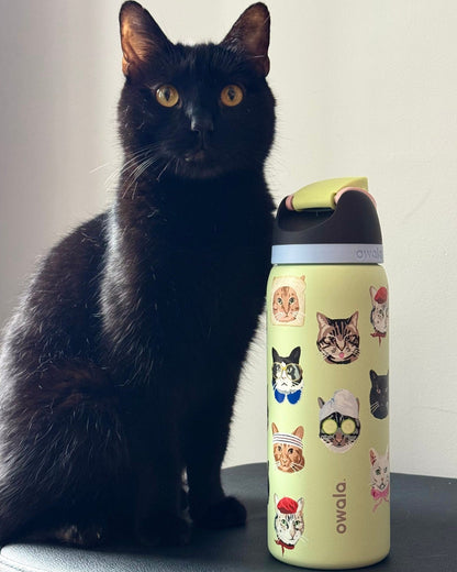 Owala FreeSip cute edition 24oz
