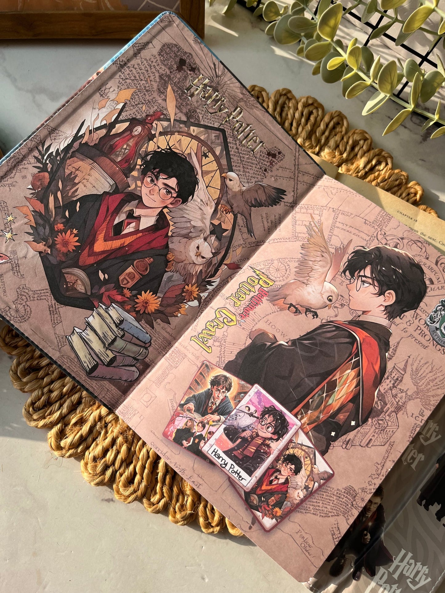 Puffy Harry Potter Diary