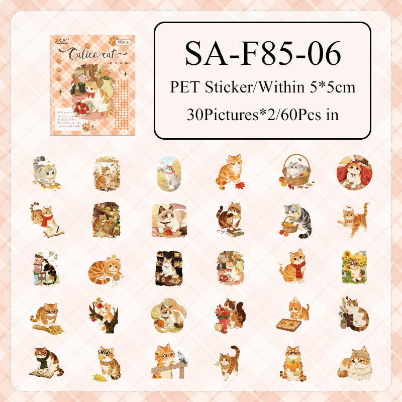 Cute Cat Sticker Box - 60 Pcs