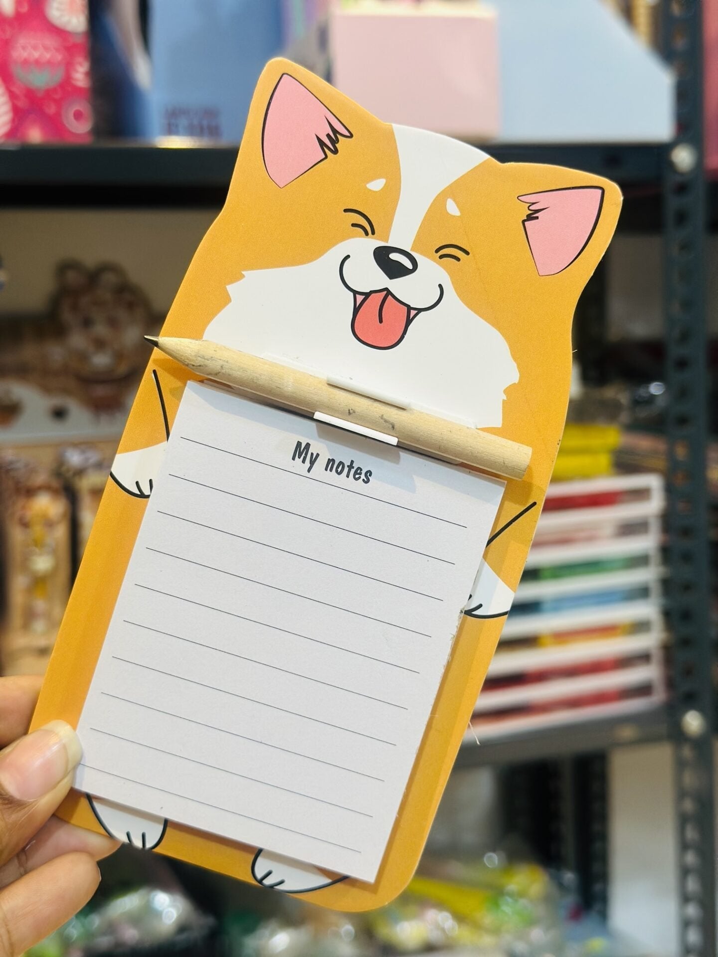 Cute Magnetic Notepad