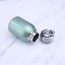 Mini Stainless Steel Bottle - 300 ml