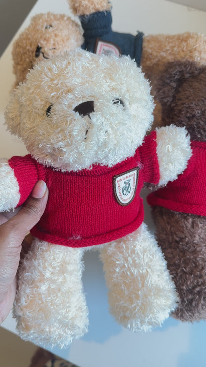 Cute fluffly bear plushy soft toy